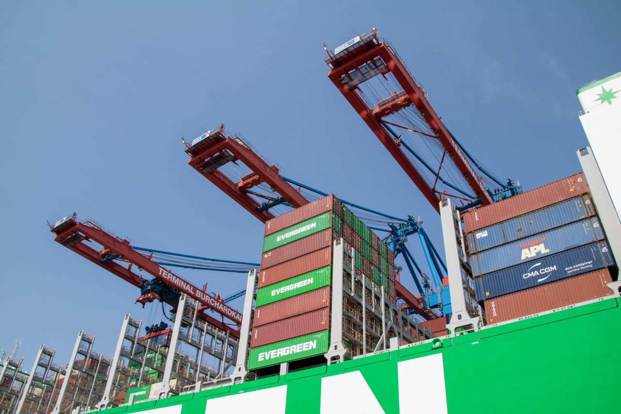 Services Low-angle view of cargo cranes and shipping containers at Hamburg port under clear sky.